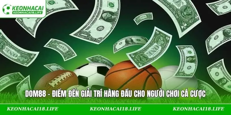 DOM88 – Điểm Đến Giải Trí Hàng Đầu Cho Người Chơi Cá Cược