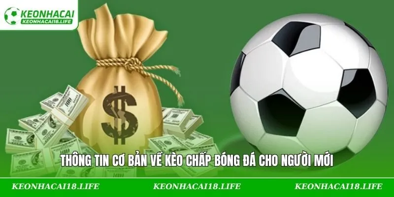 Thông tin cơ bản về kèo chấp bóng đá cho người mới